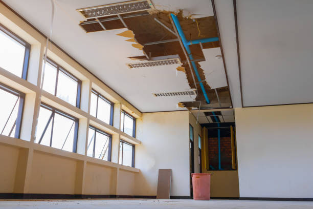 Best Mold removal after water damage  in West Jefferson, NC