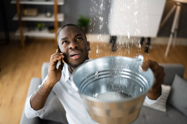 Best Flood restoration services  in West Jefferson, NC