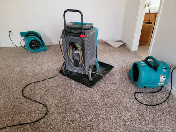 Best Professional water damage repair  in West Jefferson, NC