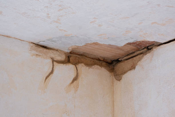Best Water damage restoration services  in West Jefferson, NC