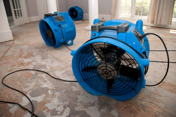 Carpet water damage restoration in West Jefferson, NC