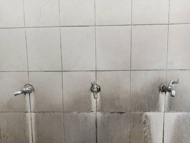 Best Water damage restoration near me  in West Jefferson, NC