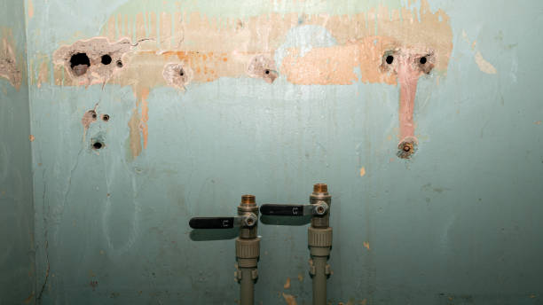 Best Basement water damage restoration  in West Jefferson, NC