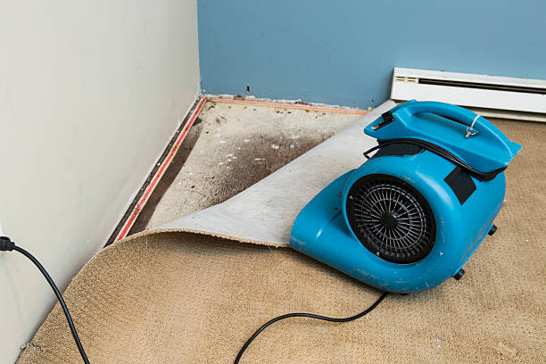 Best Water damage restoration near me  in West Jefferson, NC